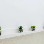 Estilo Y Confort, Marina Primavera 88